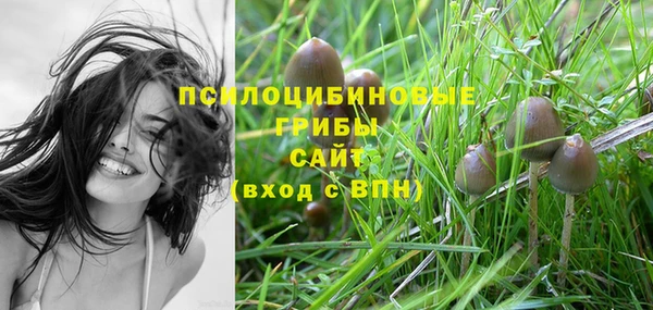 гидропоника Вяземский