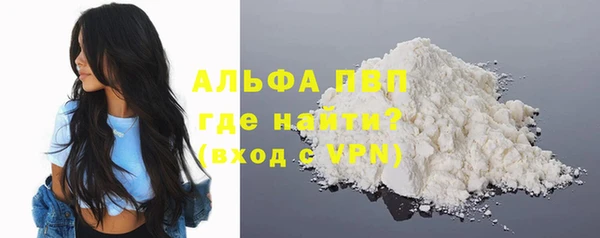 индика Волосово