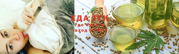 индика Волосово