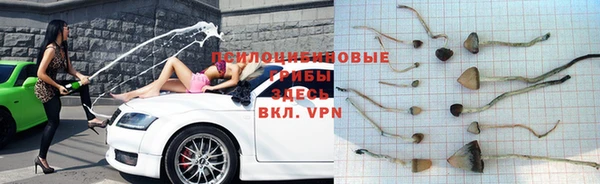 твердый Верея