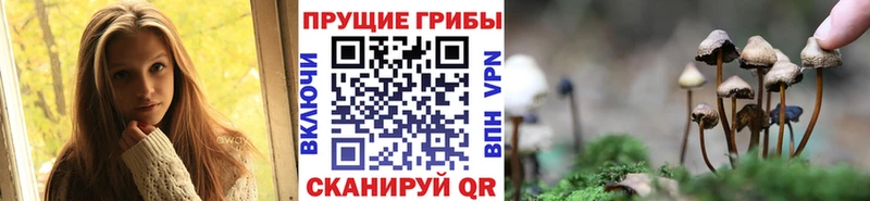 Купить закладки  Горбатов  Псилоцибиновые грибы прущие грибы 
